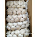 /msite/products/detail/productid/57087896/id/573198.html